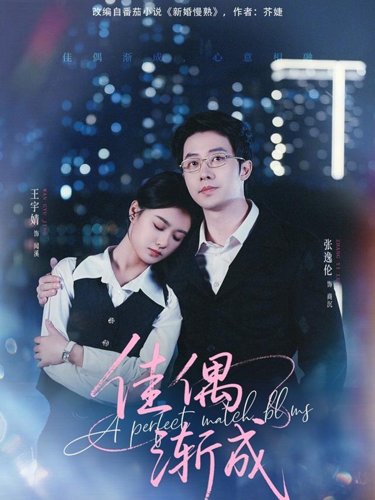 佳偶渐成(全集)