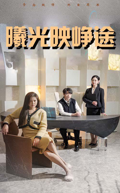 曦光映峥途（错把瓦砾当明珠）(全集)